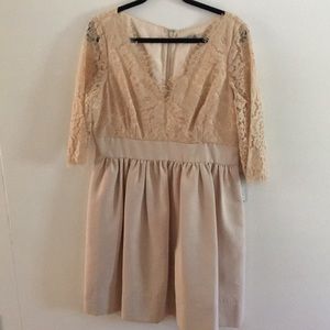 Eliza J champagne Lace Dress Size 16